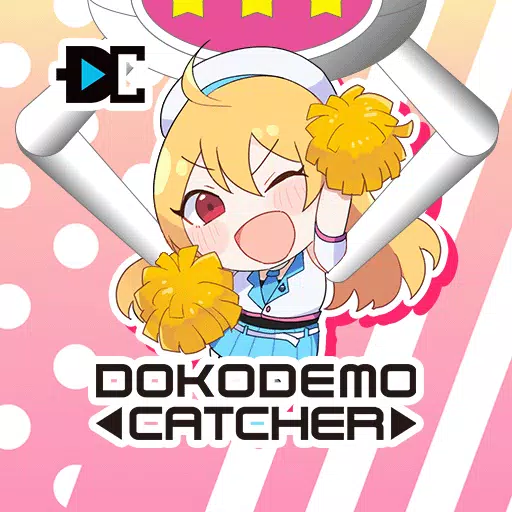 crane game - DOKODEMO CATCHER