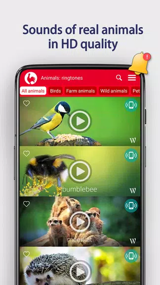 Animals Ringtones Ekran Görüntüsü 1