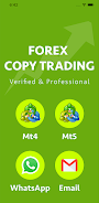 Forex copy trading Forex Auto Скриншот 0