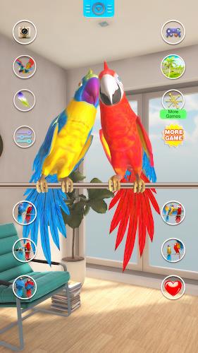 Talking Parrot Couple Screenshot 3