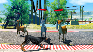 Schermata Doberman Dog Simulator 1