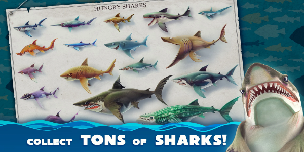 image:Hungry Shark World Sharks