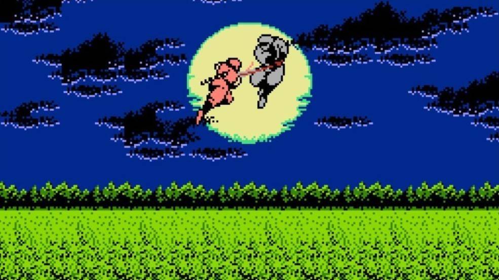 ninja gaiden