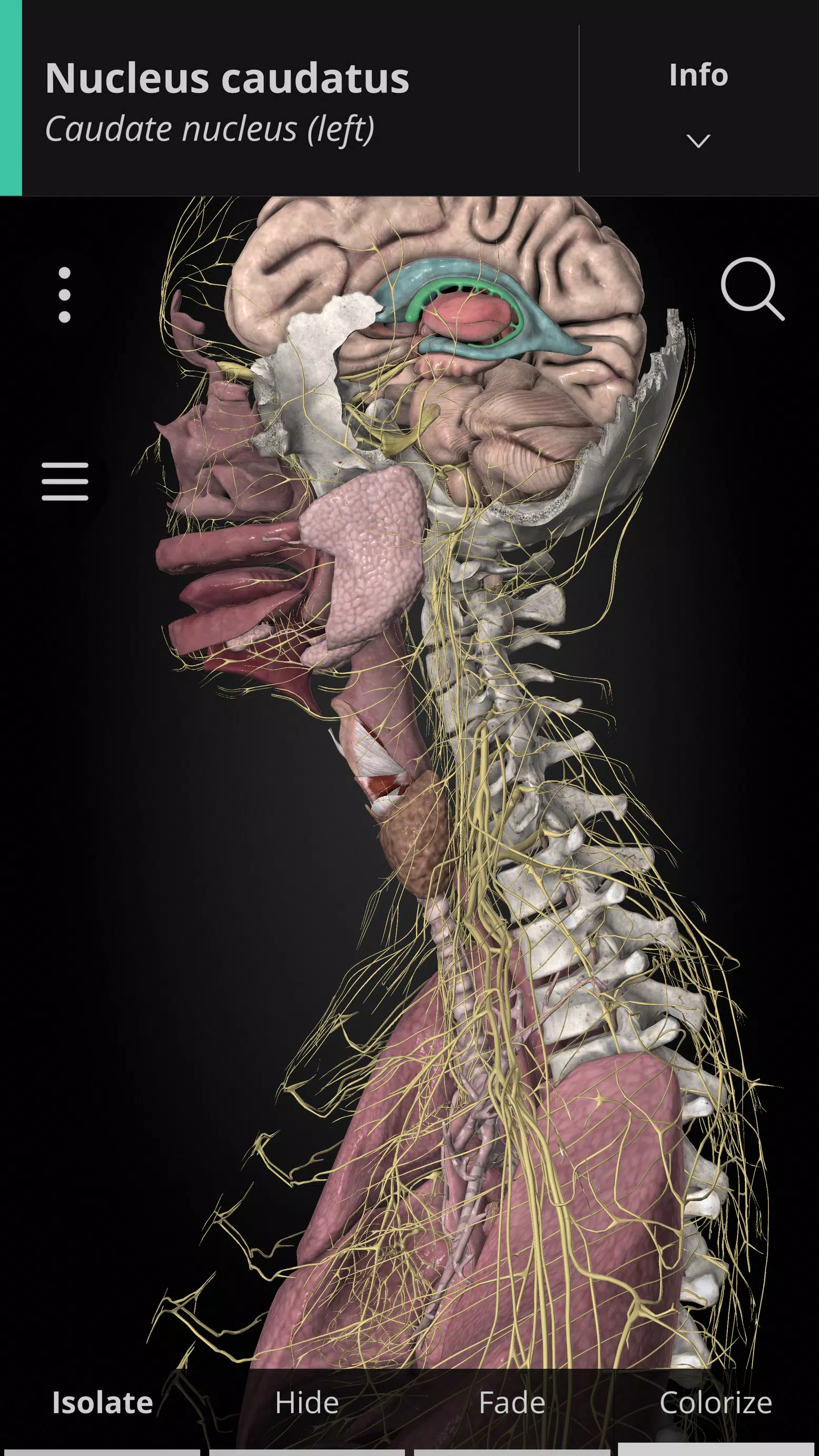 Anatomyka - 3D Anatomy Atlas 스크린샷 0