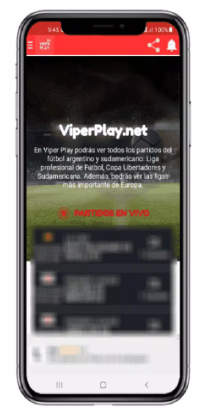 Viper Play Net Football Screenshot 1