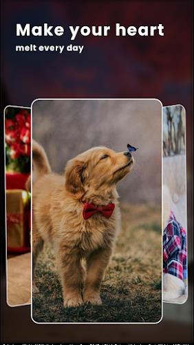 Puppy Love: Cute Dog Wallpaper Capture d'écran 2