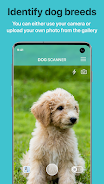 Dog Scanner: Breed Recognition Screenshot 0