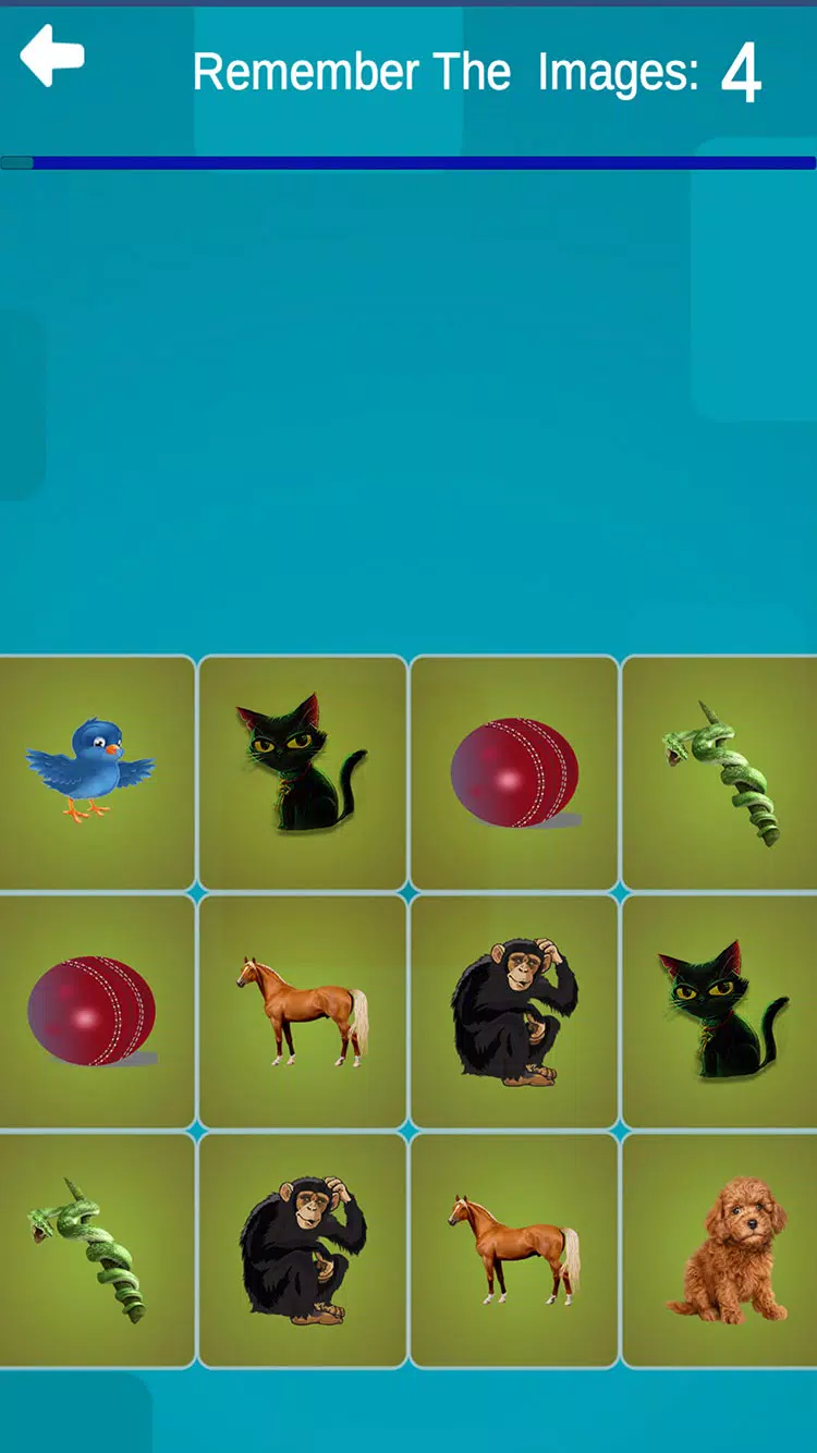 Animal Puzzle Match スクリーンショット 0