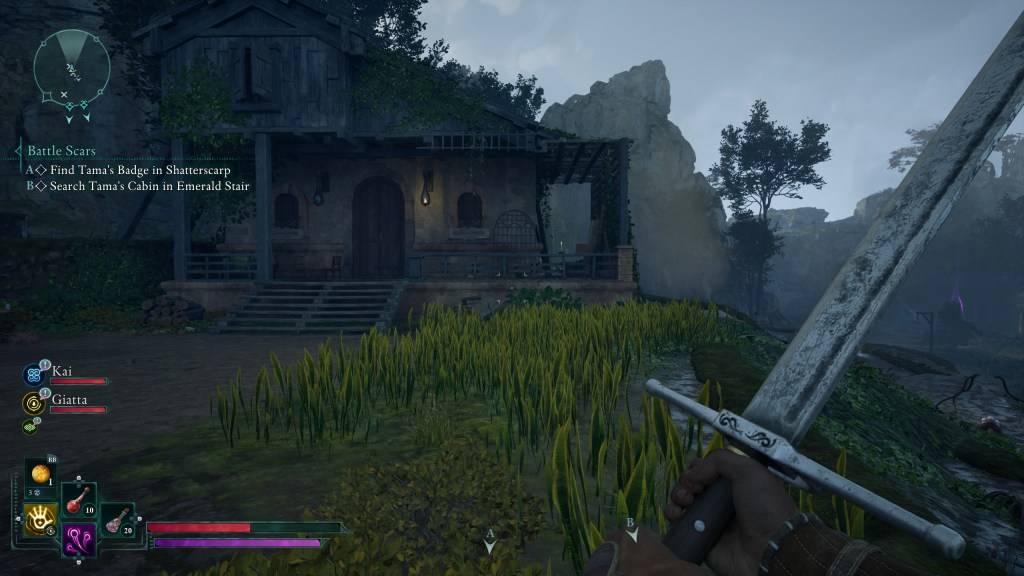 Image showing additional context