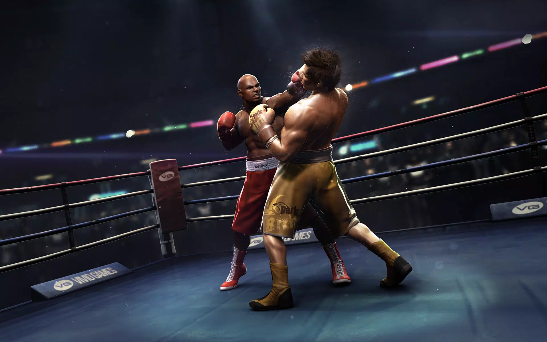 Real Boxing Screenshot 0