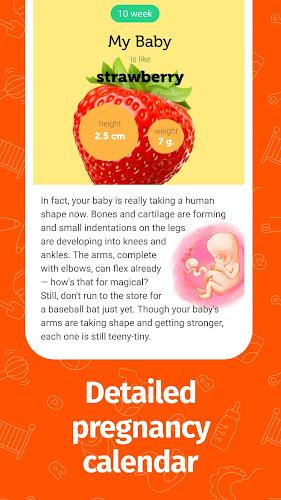 Pregnancy App and Baby Tracker スクリーンショット 2