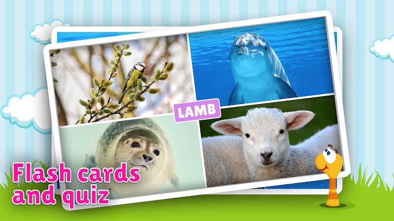 Animal flashcard & sounds スクリーンショット 1