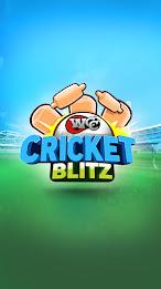 WCC Cricket Blitz Schermafbeelding 0