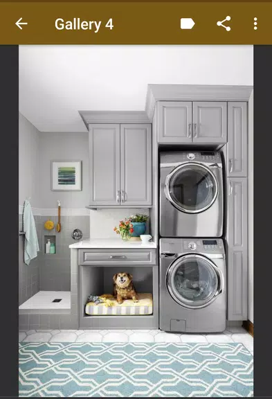 Laundry Room Organization Скриншот 2