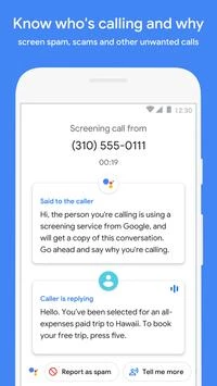 Phone by Google ภาพหน้าจอ 1