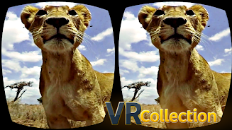 Pack of VR videos স্ক্রিনশট 2