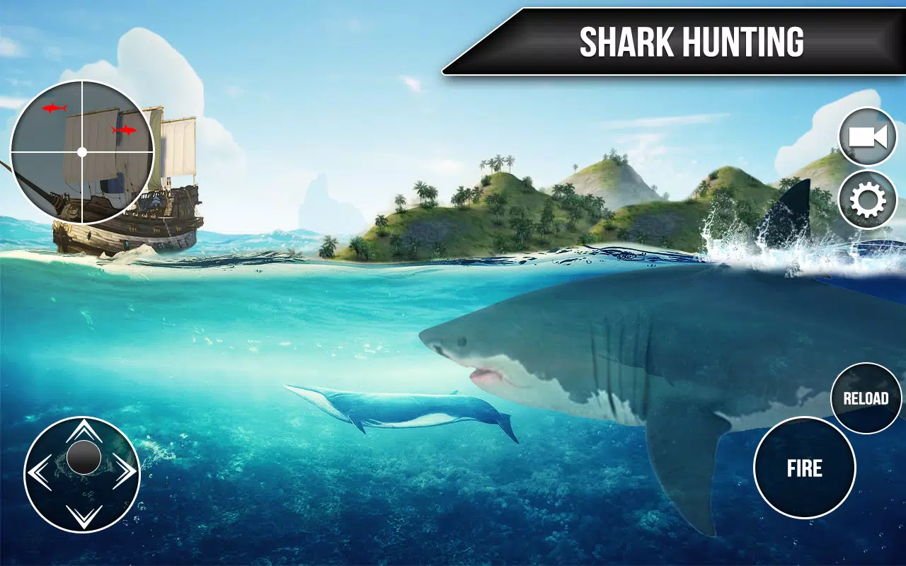 Wild Shark Fish Hunting game 스크린샷 3