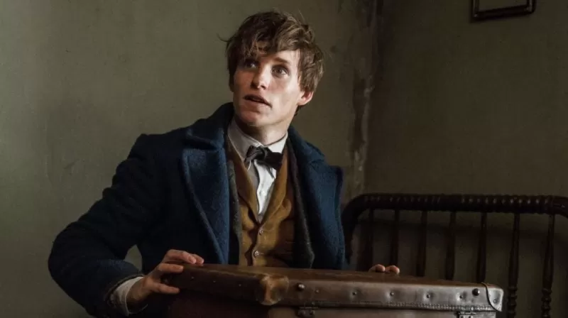 NEWT SCAMANDER IMAGE