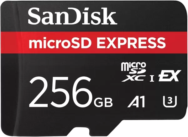 SanDisk MicroSD Express 256GB