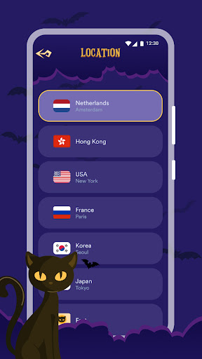 Accelerate VPN Capture d'écran 2