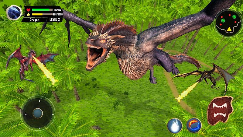 Flying Dragon Simulator Games Screenshot 3