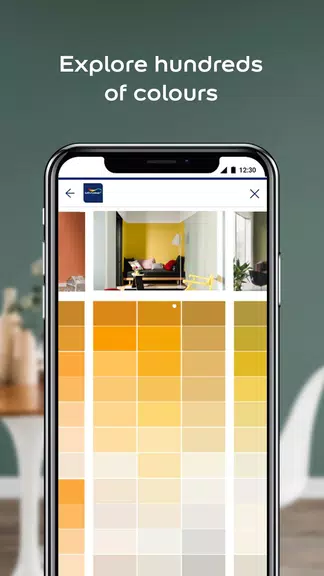 Dulux Visualizer ZA Скриншот 1