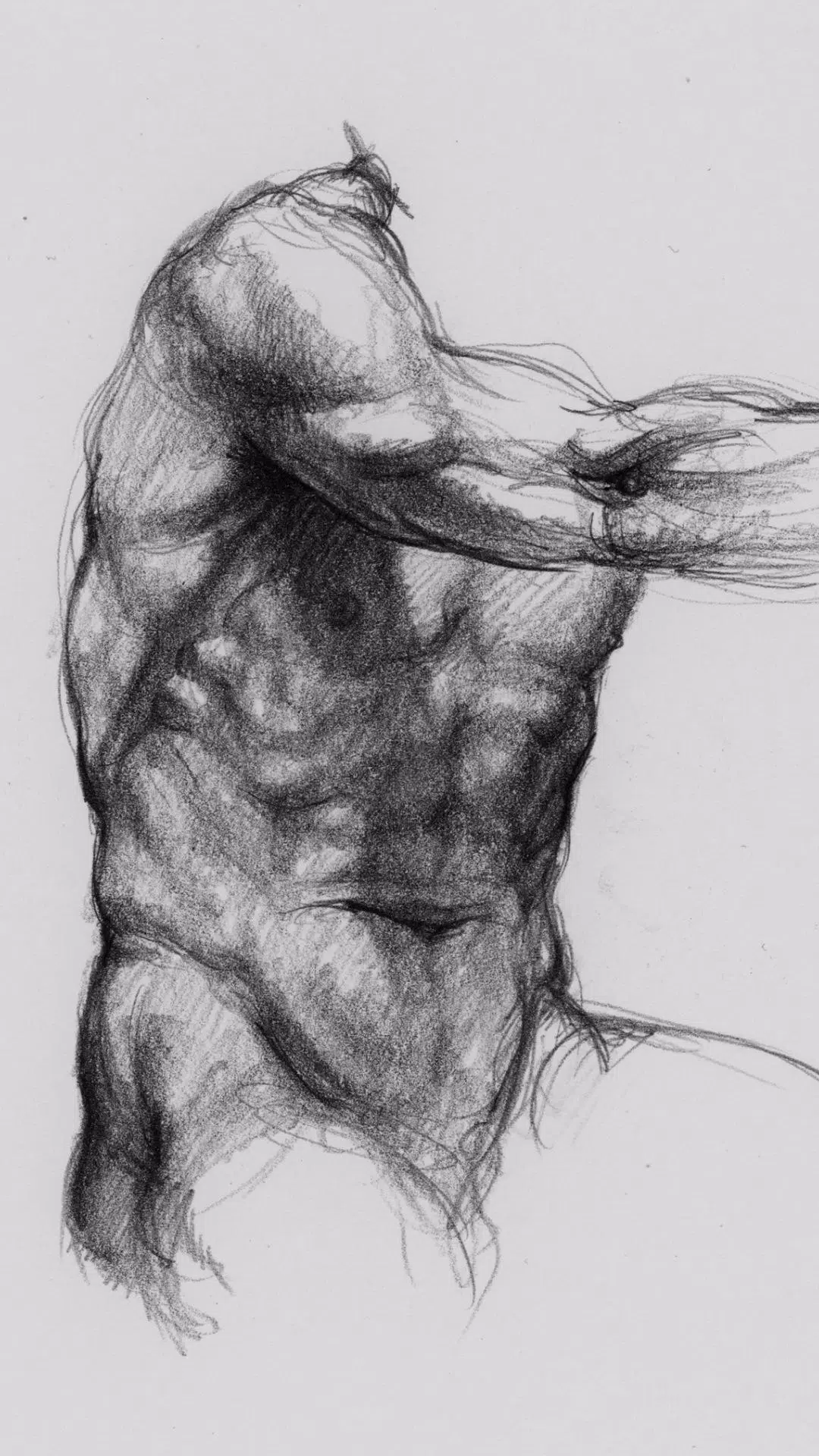 Anatomie 3D pour artiste Capture d'écran 0