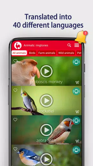 Animals Ringtones Ảnh chụp màn hình 2