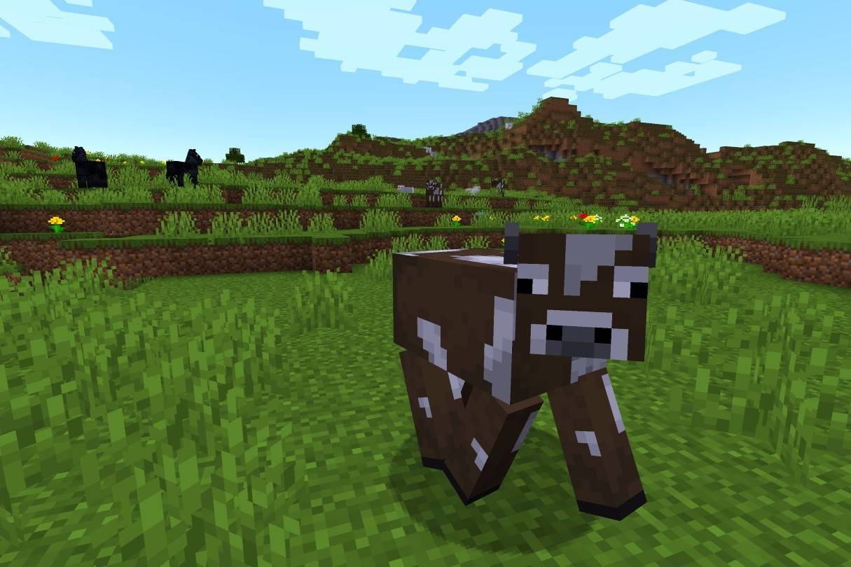 Animals Minecraft