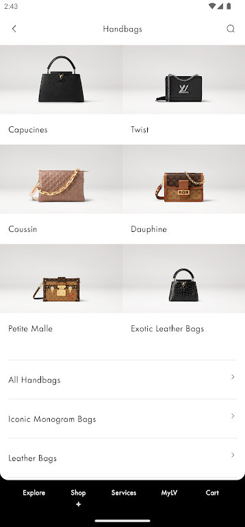 Louis Vuitton Captura de pantalla 2