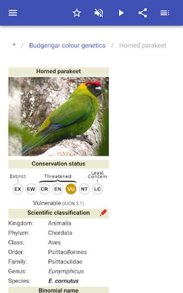 Parrots ภาพหน้าจอ 2