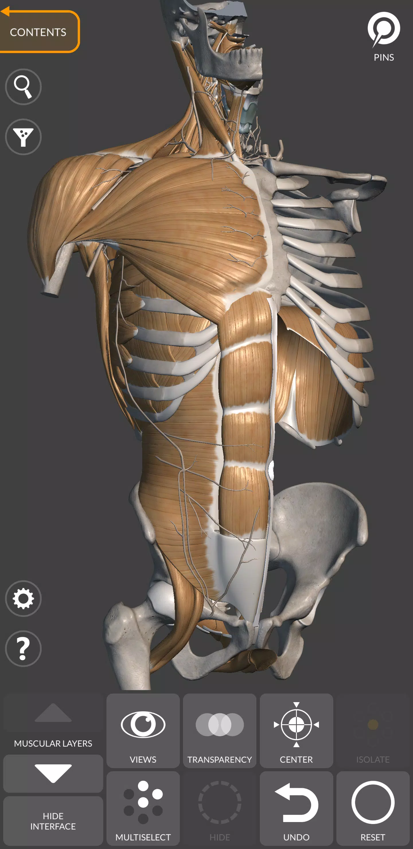 Anatomie 3D pour artiste Capture d'écran 1