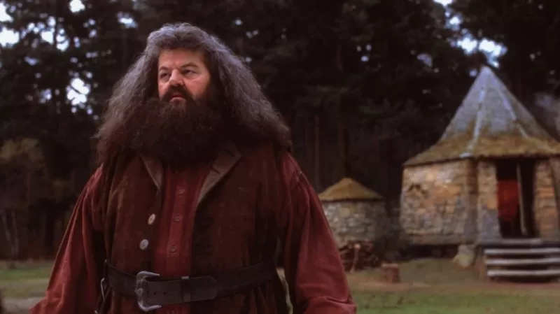 Hagrid Image