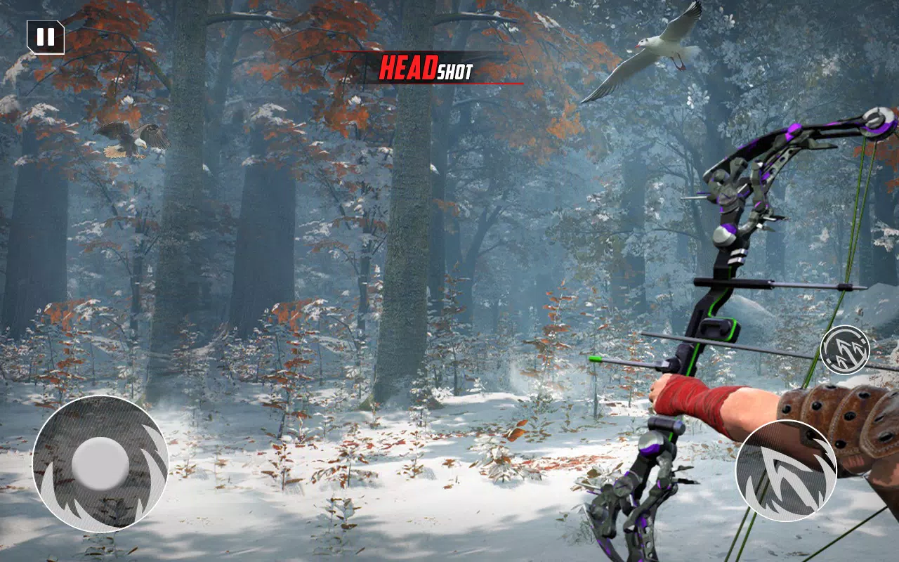 Archery Bow Hunt Shooting V2 Screenshot 2