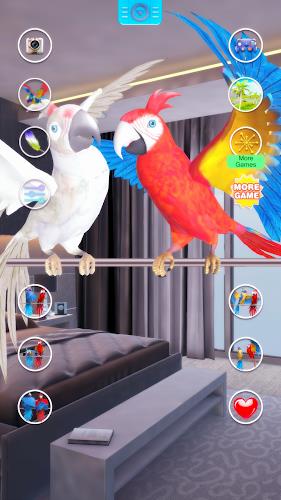 Talking Parrot Couple Screenshot 2