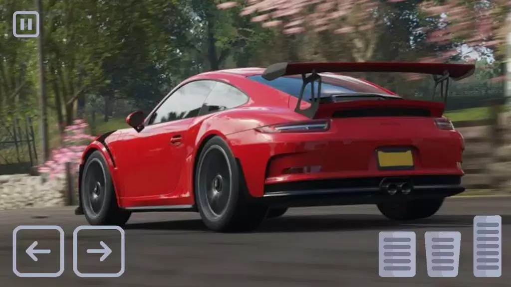 Racing Porsche Carrera 911 GT3 Tangkapan skrin 3