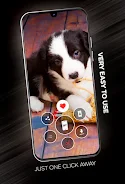 Puppies Wallpapers in 4K應用截圖第1張