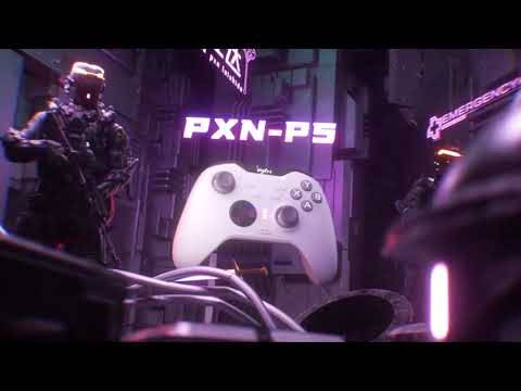 PXN P5 컨트롤러 이미지