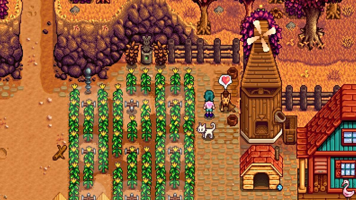 Stardew Vadisi'nde evcil hayvanla artan dostluk