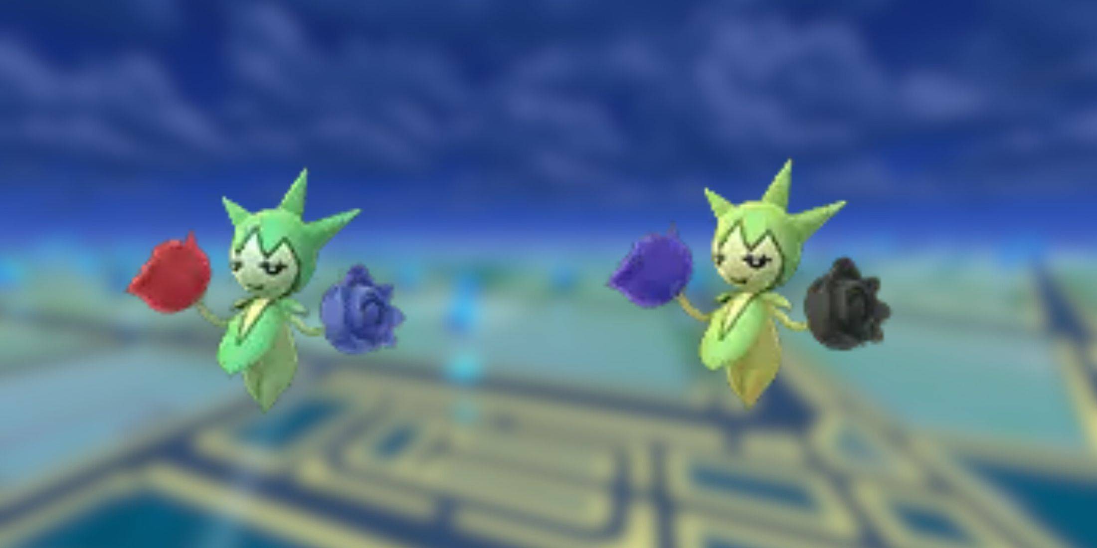 Roselia variocolor aparece durante la Hora Destacada