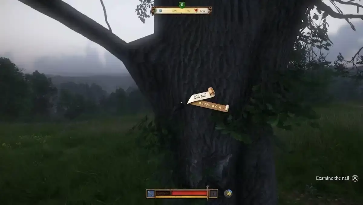 Image: A screenshot showing the nail in the tree