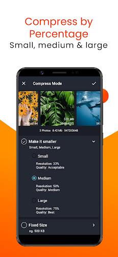 Compress Image Chitro: KB, MB, Screenshot 2