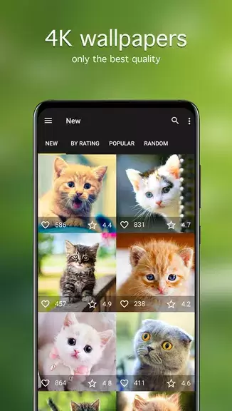 Fondos de pantalla con gatos Captura de pantalla 1