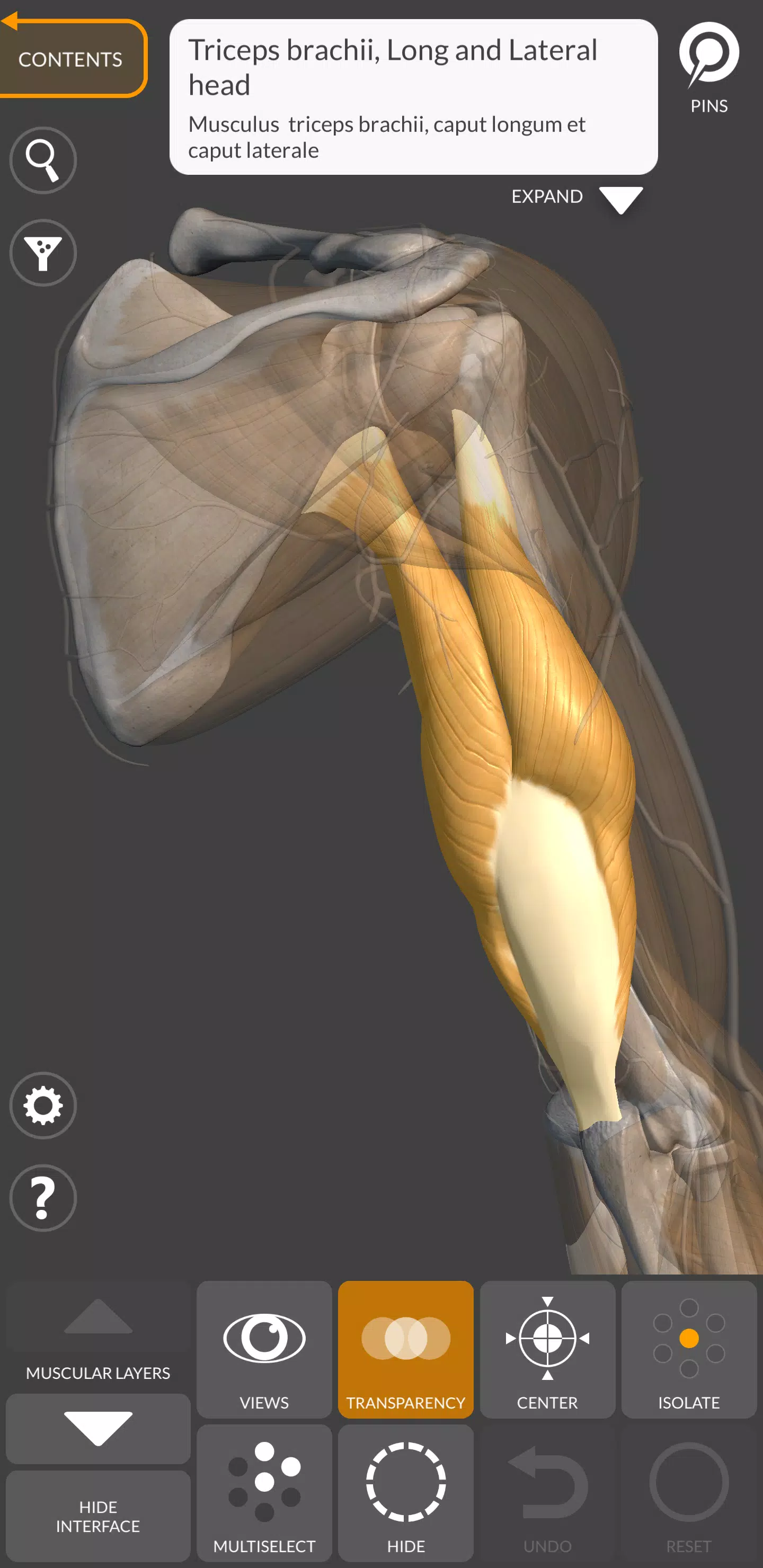 Anatomie 3D pour artiste Capture d'écran 2