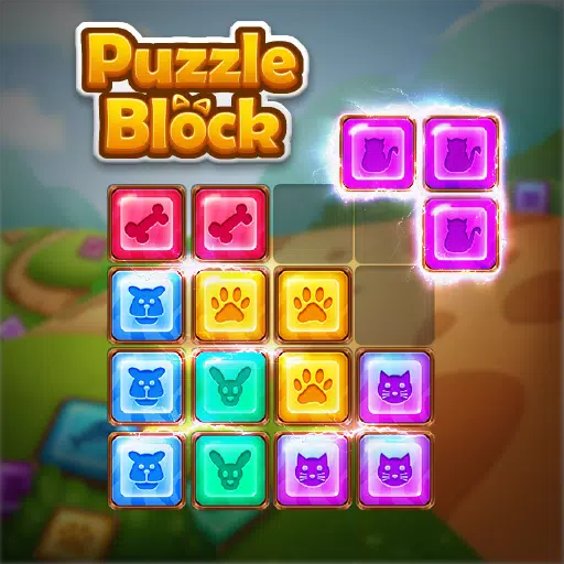 Master Puzzle Block