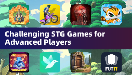 Challenging STG Games for Advanced Players